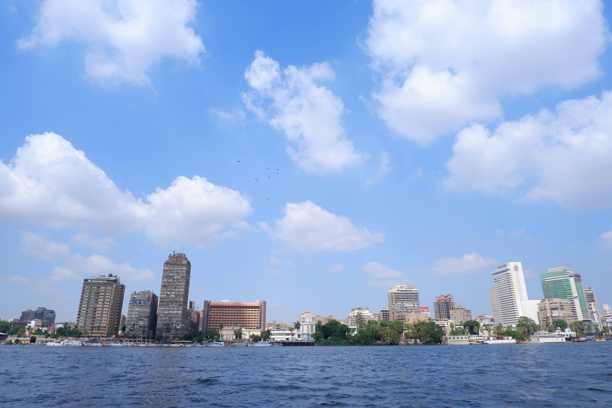 SEO Company in Egypt