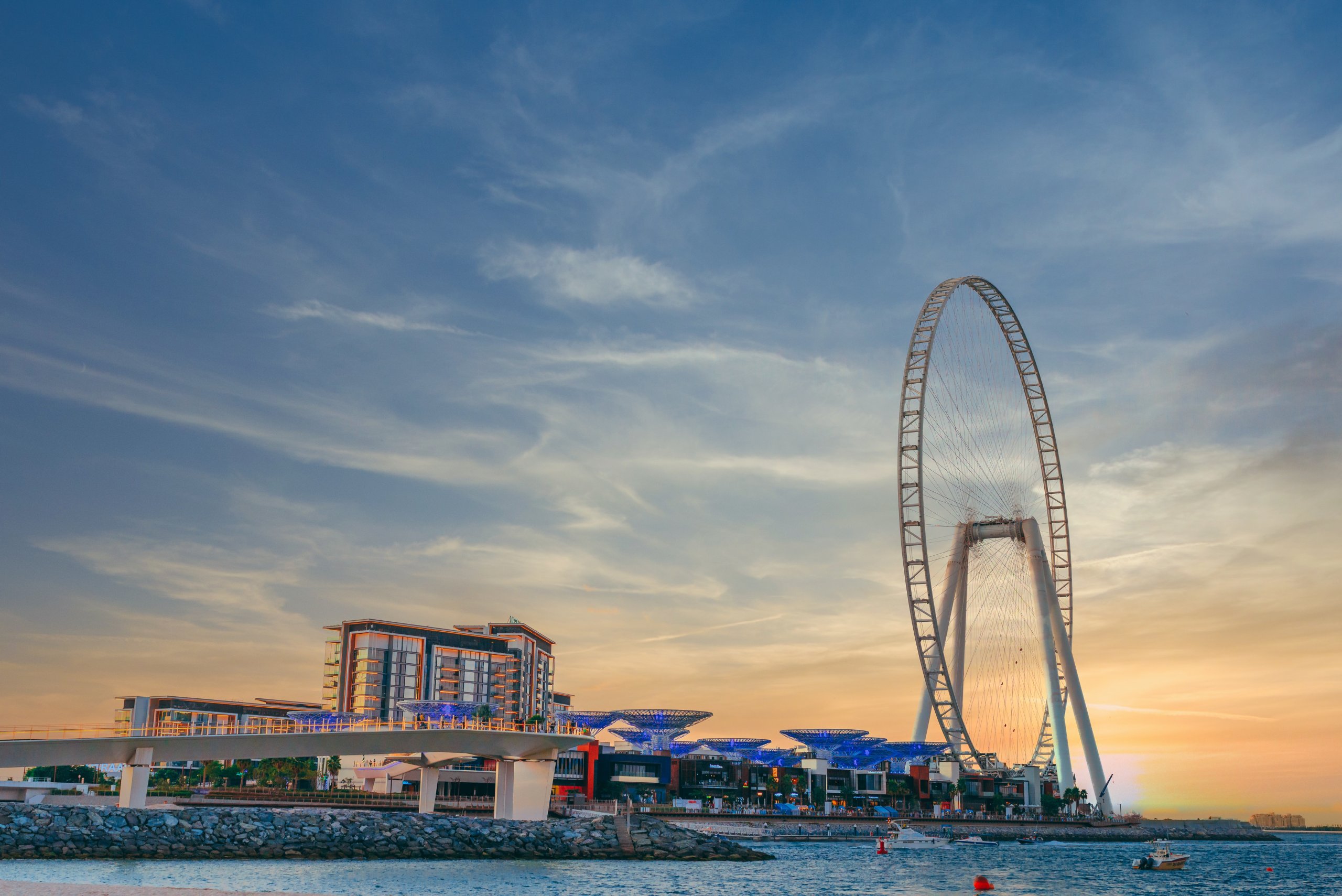 Seo Company in Dubai